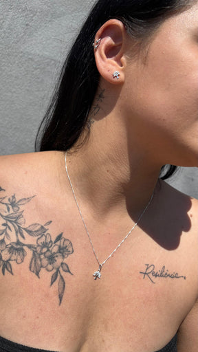 Conjunto arvore da vida